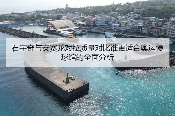 石宇奇与安赛龙对拉质量对比谁更适合奥运慢球馆的全面分析