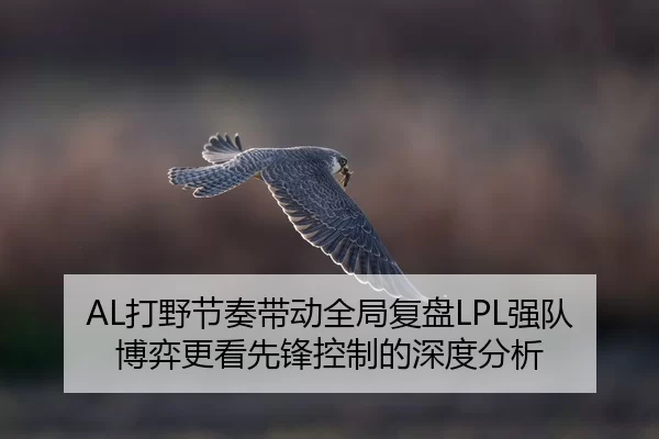 AL打野节奏带动全局复盘LPL强队博弈更看先锋控制的深度分析（Yabo）